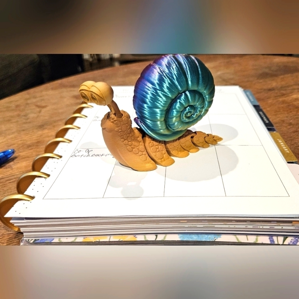 3d Printed Snail
